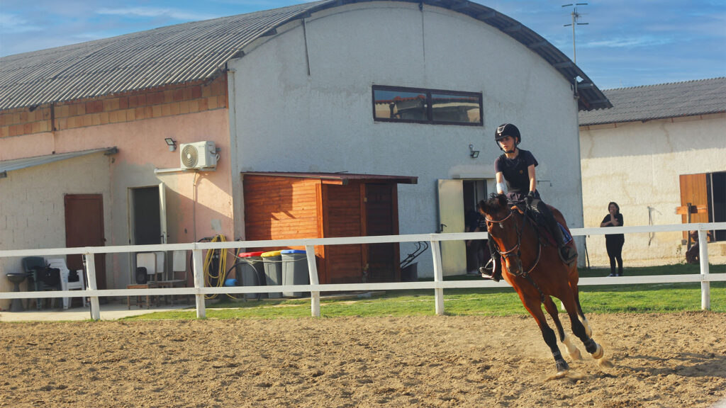 Davoli Equestrian Center